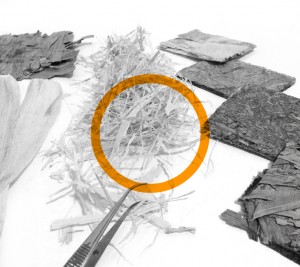 AMAIZE <br /><p><span style="font-size:12pt">Research /  Material Development / Sustainability</span>  </p>